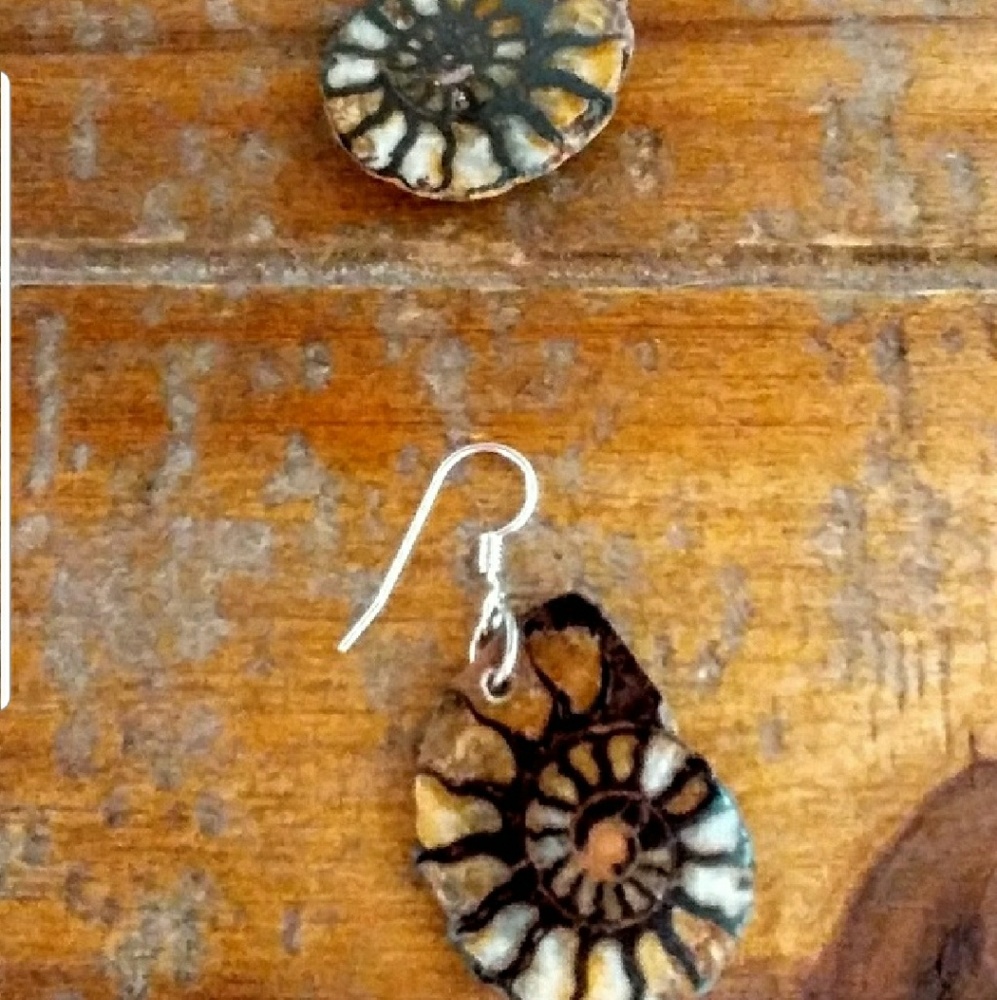 Beautiful amonite earrings
